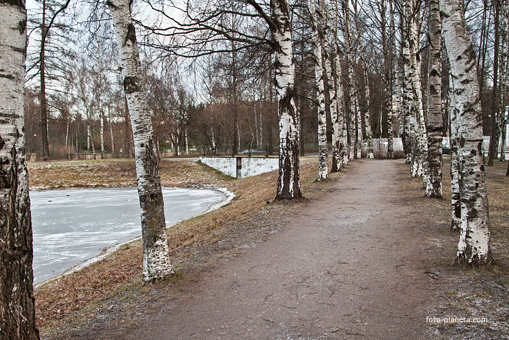 Улица Садовая