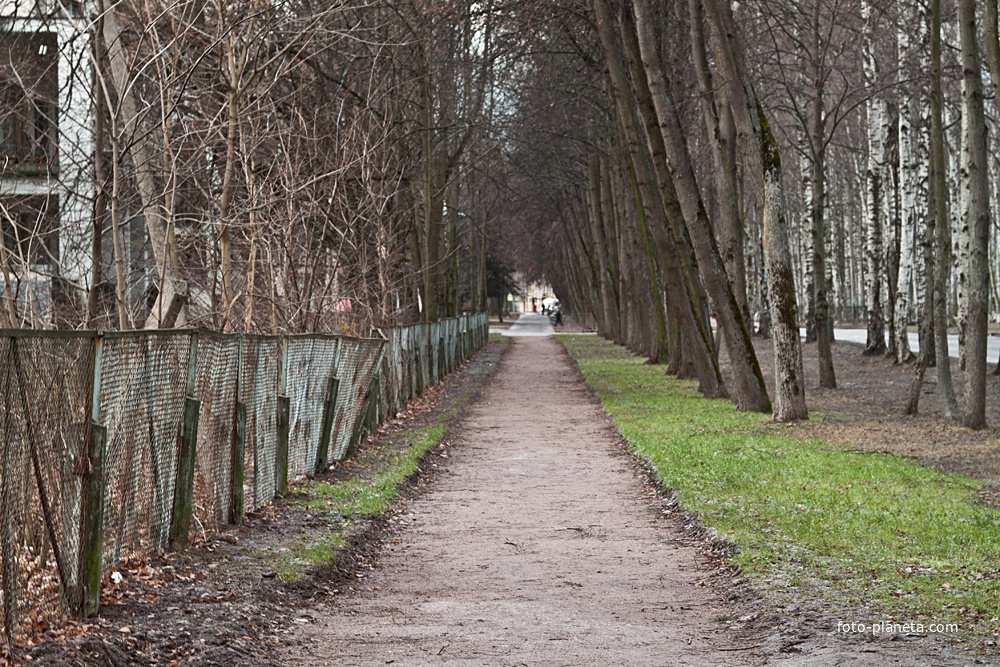 Улица Березовая