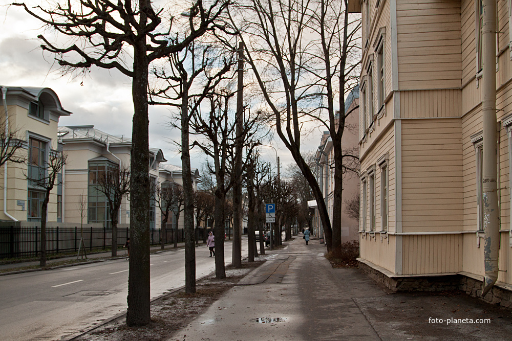 Улица Конюшенная