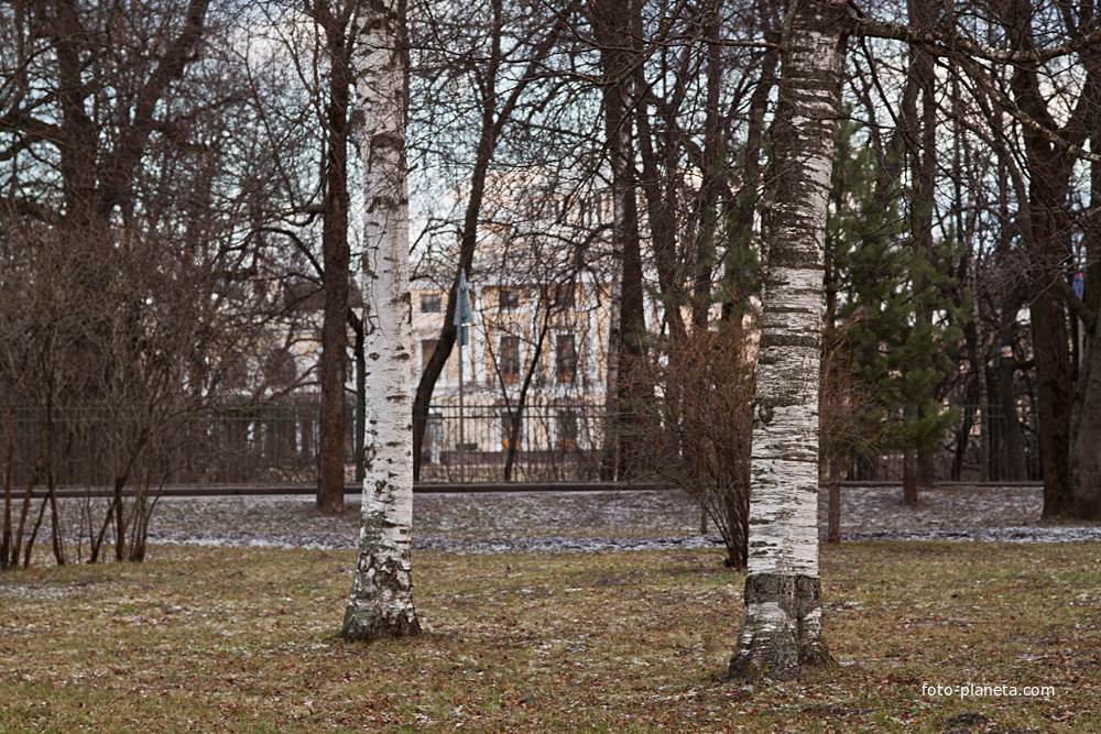 В Павловске