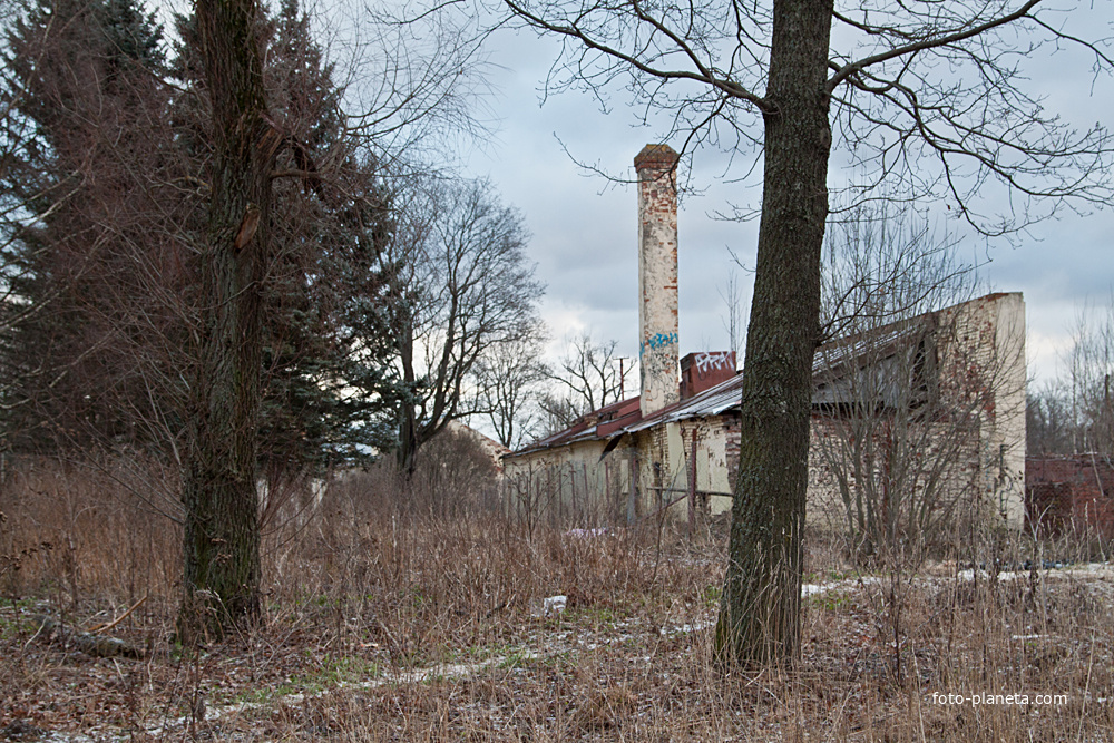 В Павловске