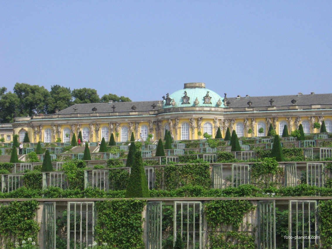Виноградные терассы у дворца  Сан-Суси
