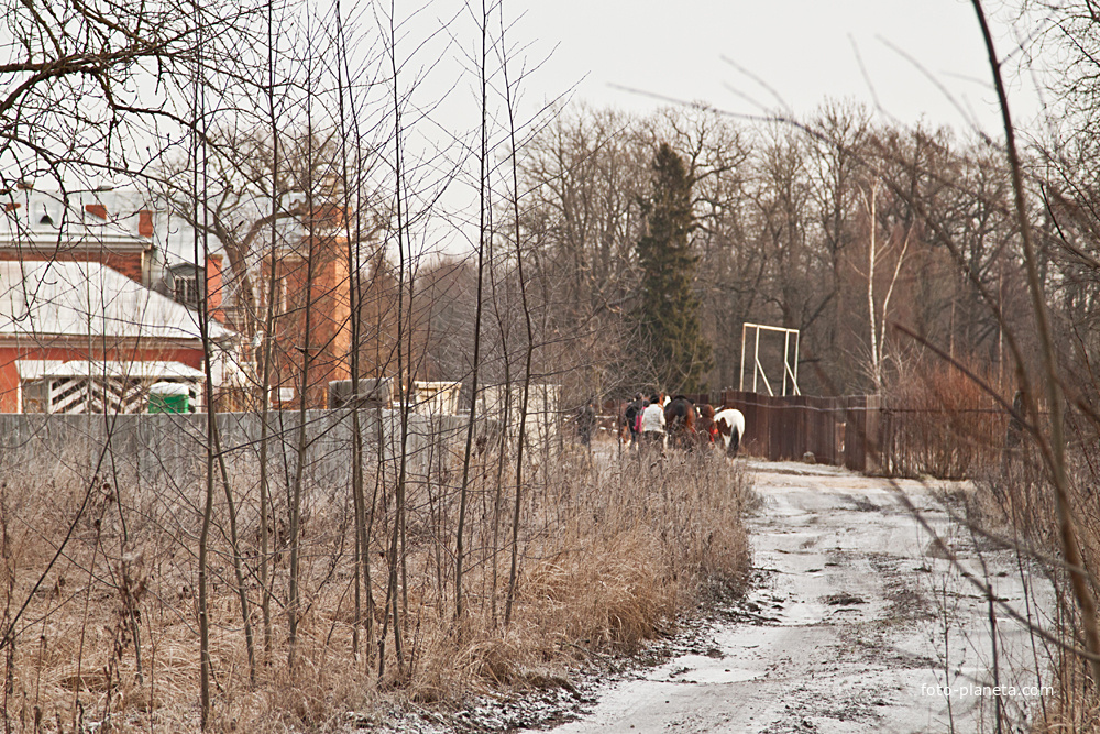 Ферма музея "Царское Село"