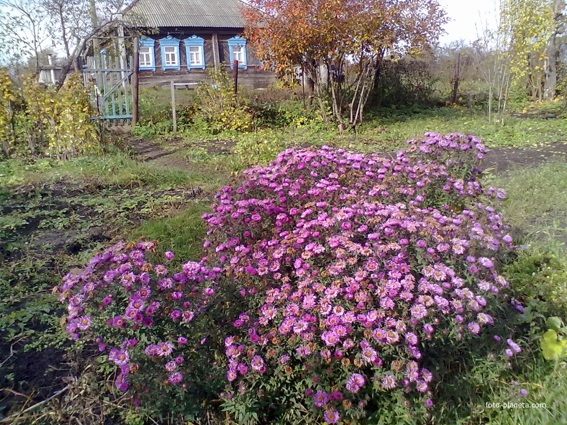 Садовка сентябрь 2013