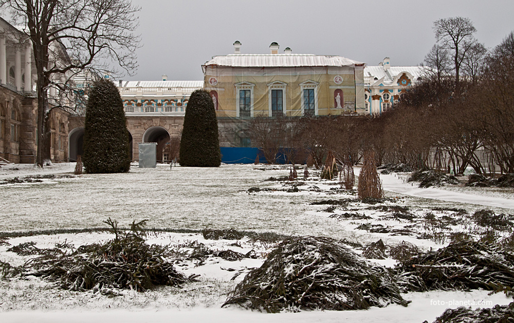 Фрейлинский сад в декабре