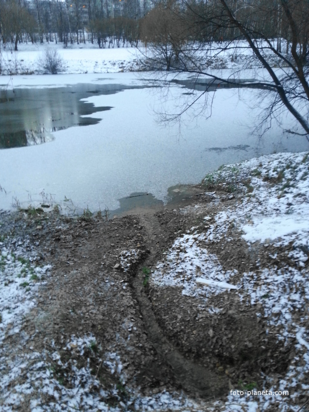Родник у Загорьевского пруда