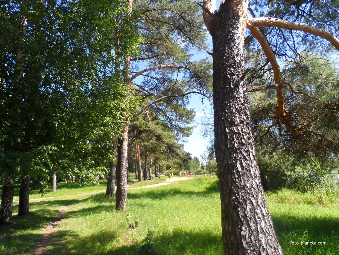 Городской прак