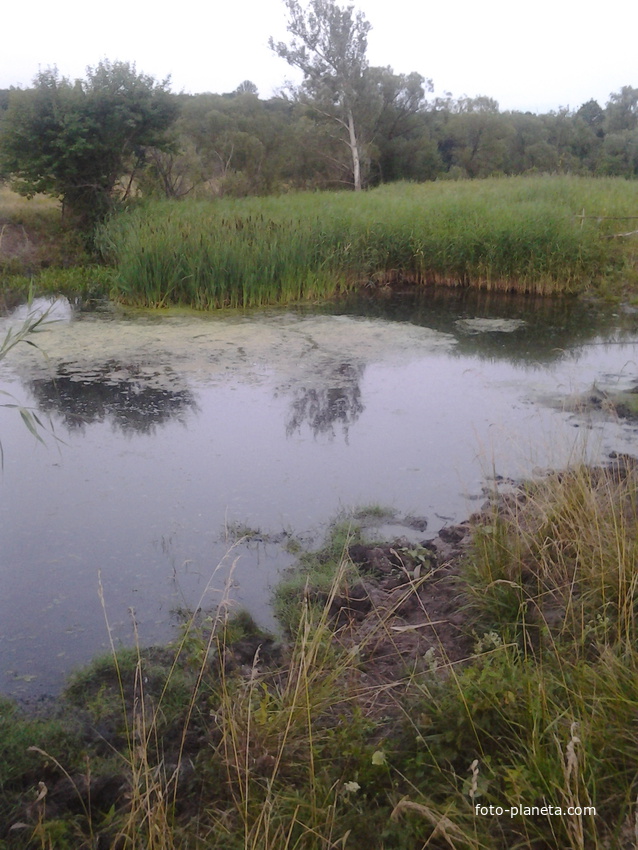 Заповедник