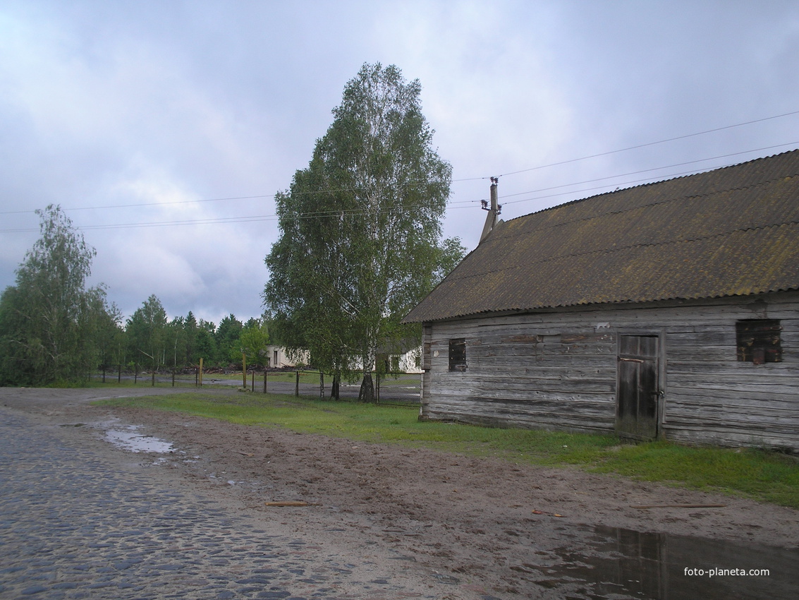 центральна дорога по селі