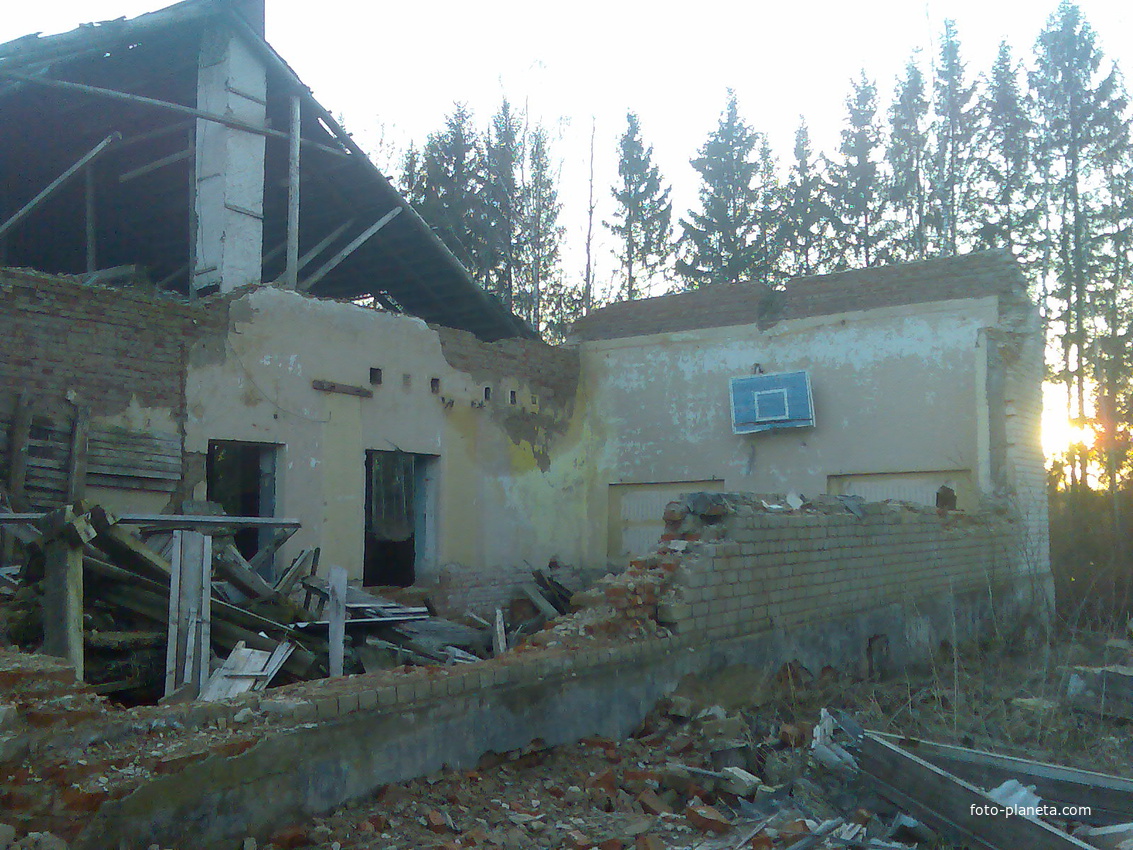 Развалины Лосьминской основной школы.