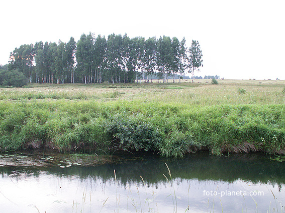 Роща на берегу р. Рачайны (у д. Мартыново)