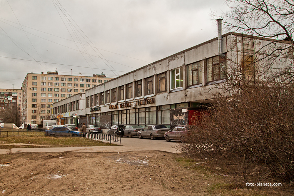 Улица Купчинская, 23