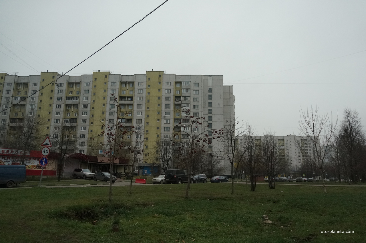 Загорье, Лебедянская улица, 14к1