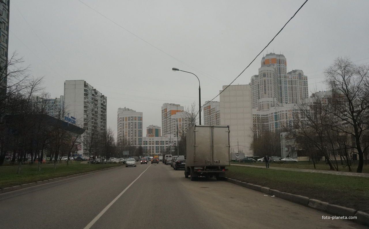 Загорье, Бирюлевская улица