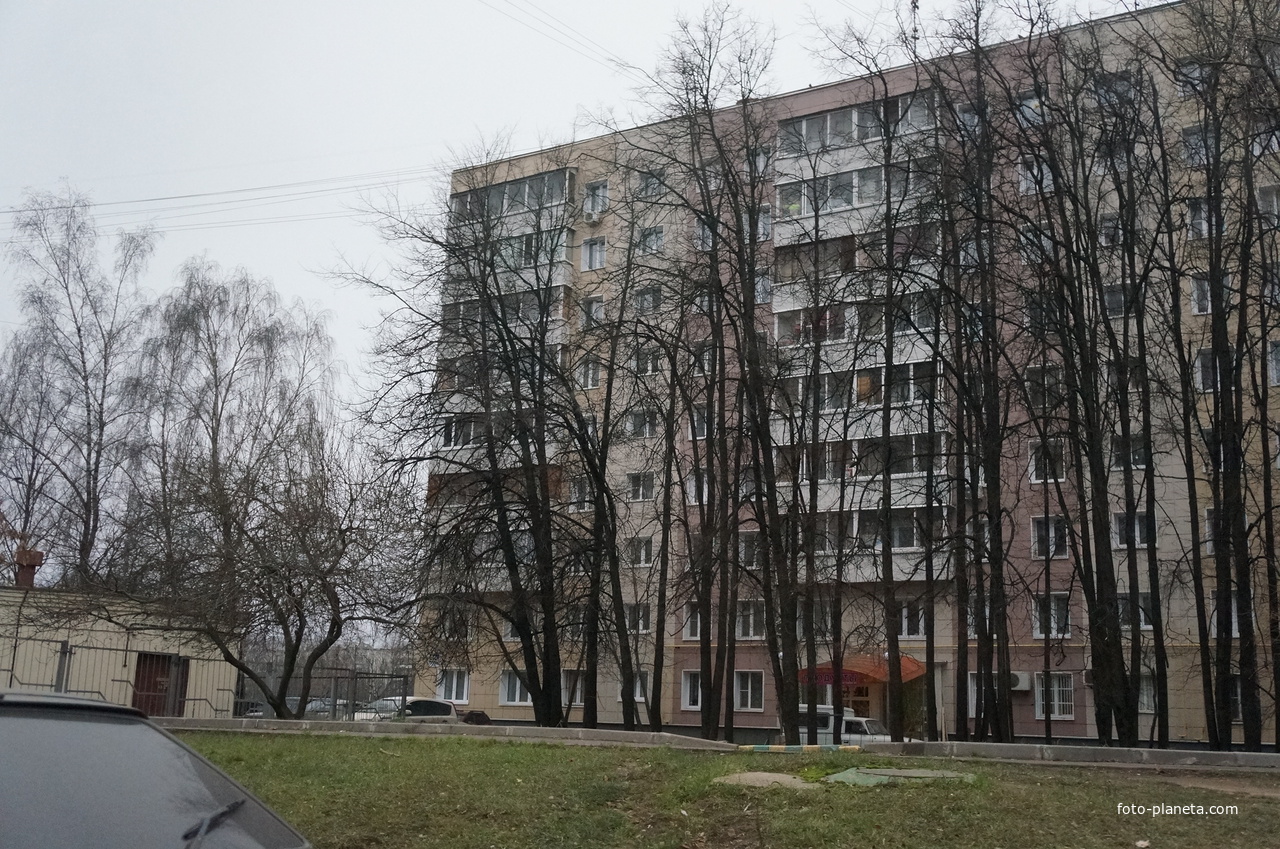 Загорье, Бирюлевская улица, 52к1