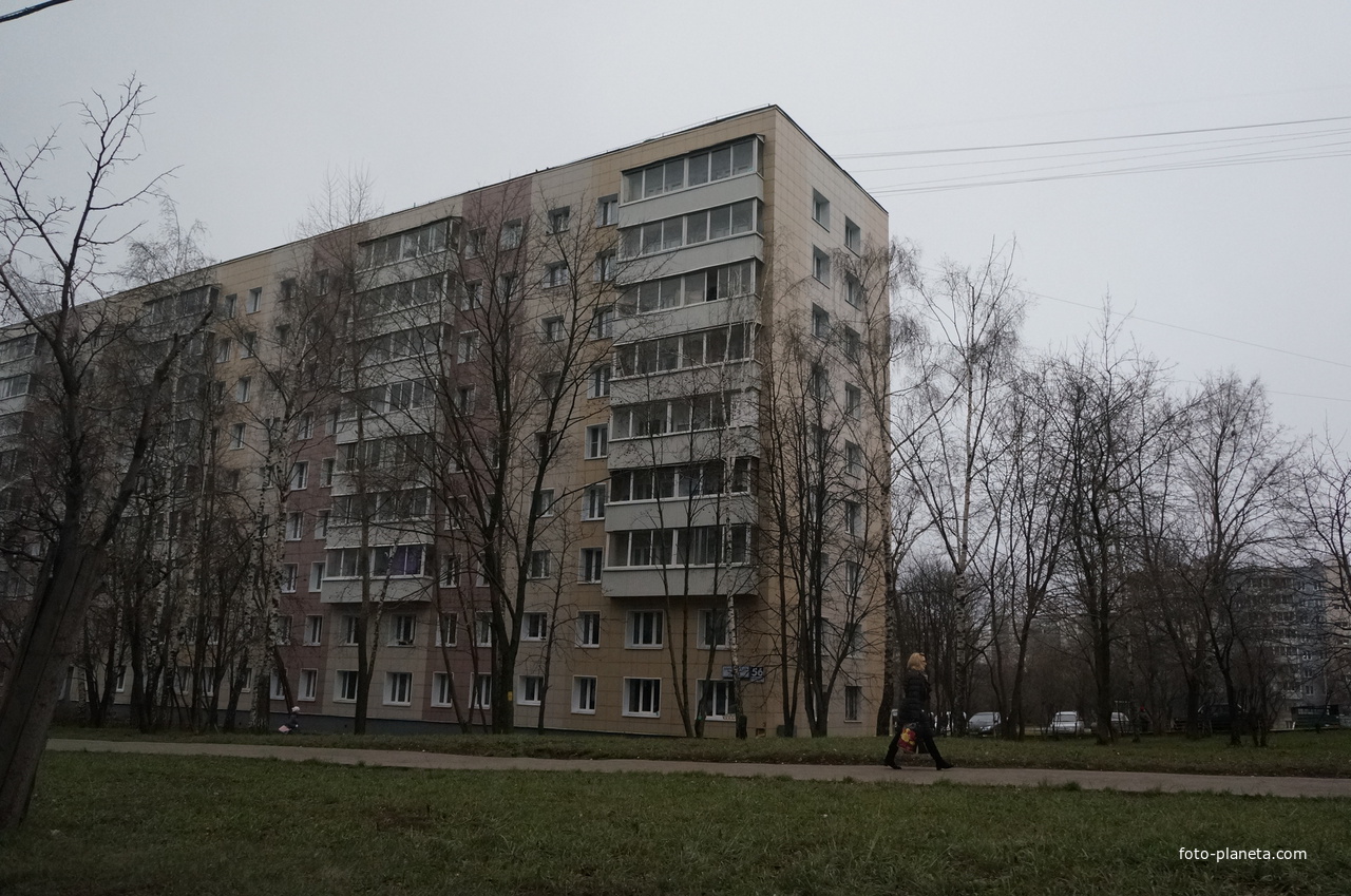 Загорье, Бирюлевская улица, 56