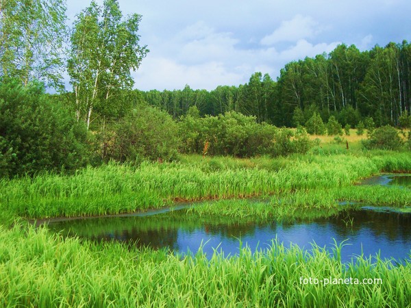 Журавлиная старица