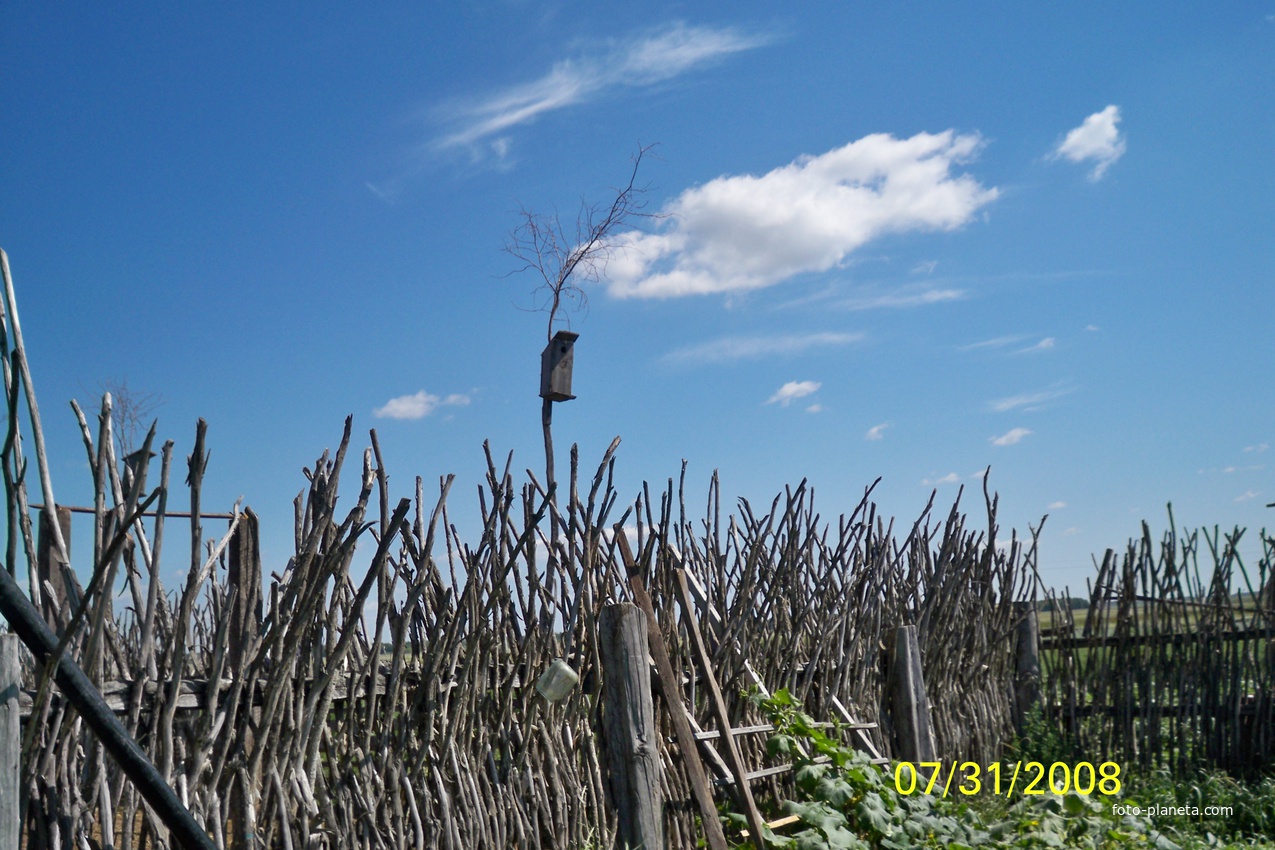 Раритетный забор