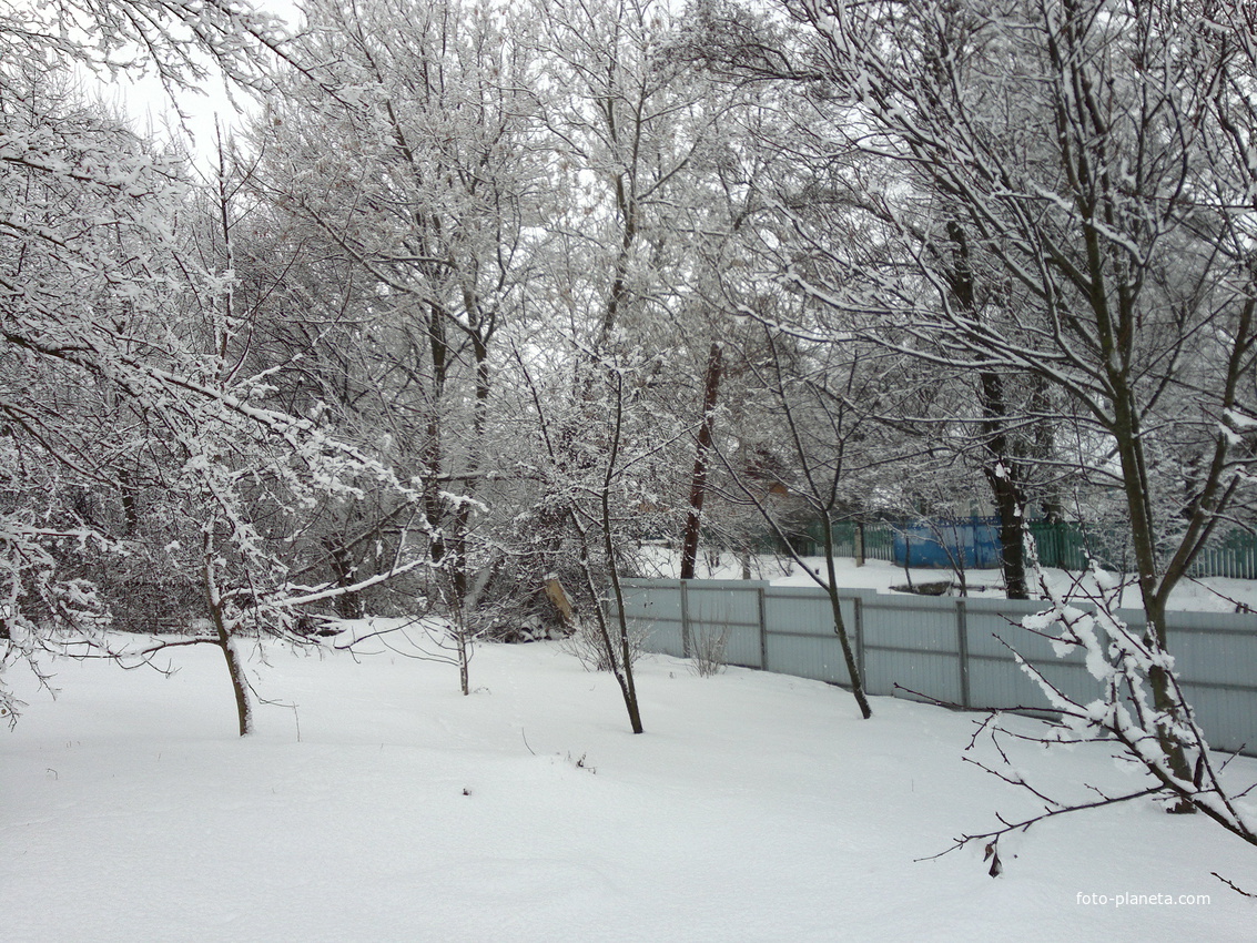 зима в Трубиевке