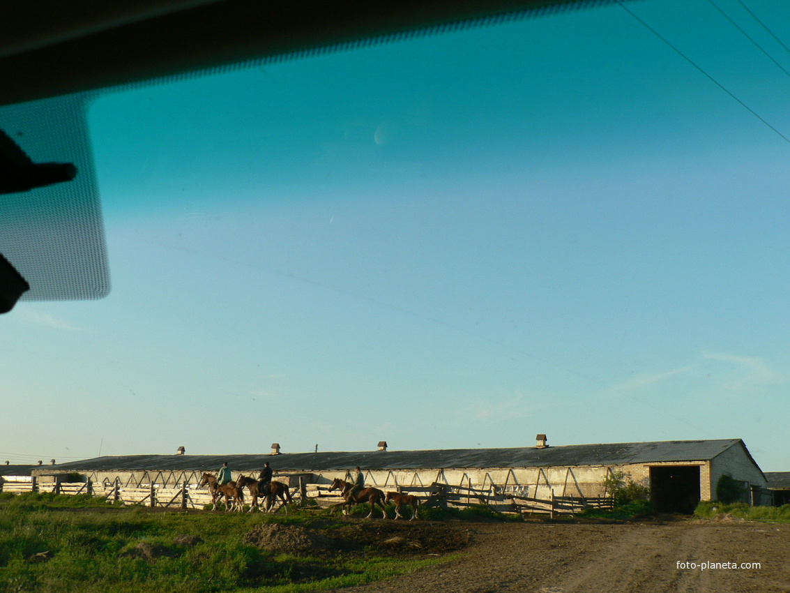 Животноводческий комплекс у села Михайловского