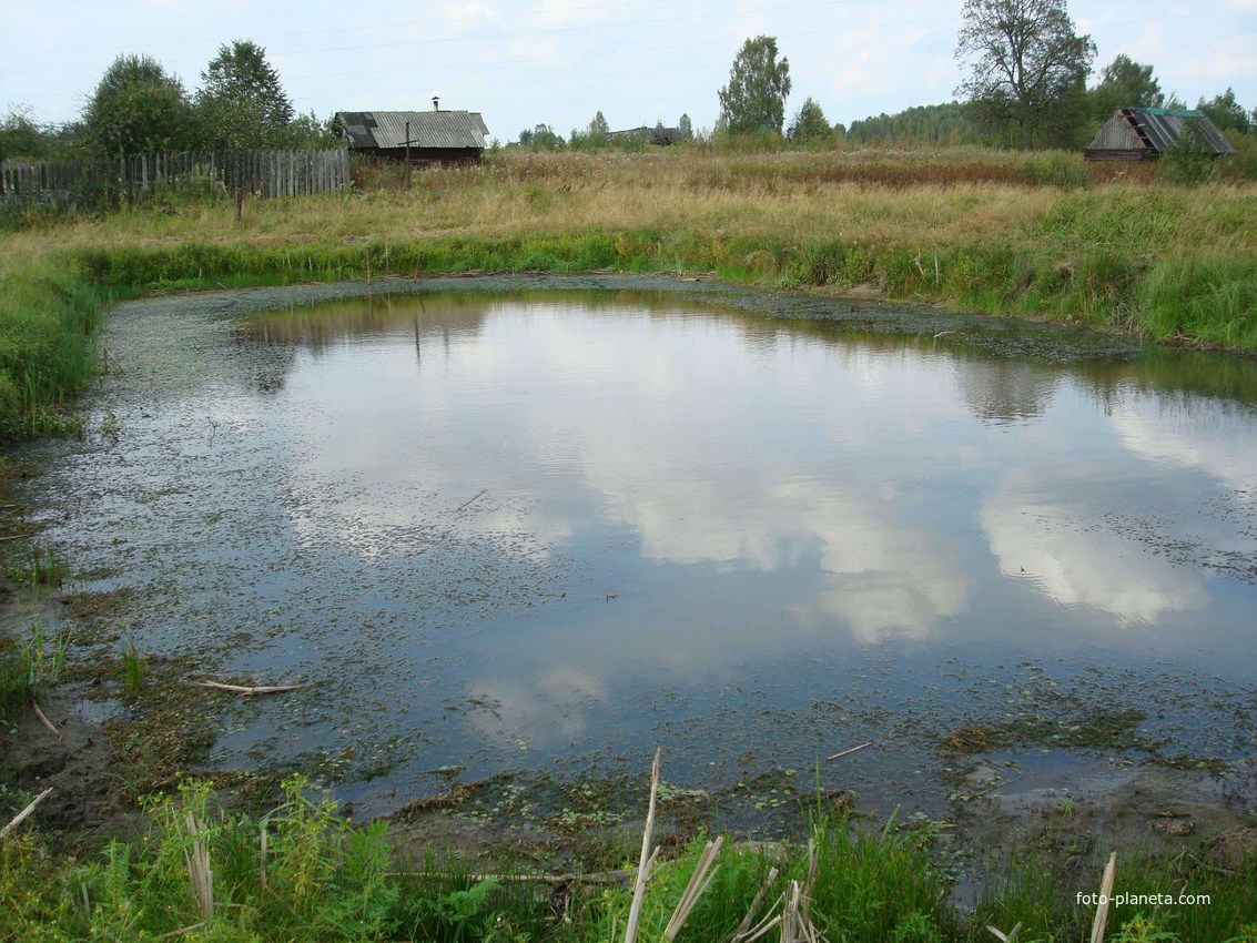 Пруд (пожарный водоем)