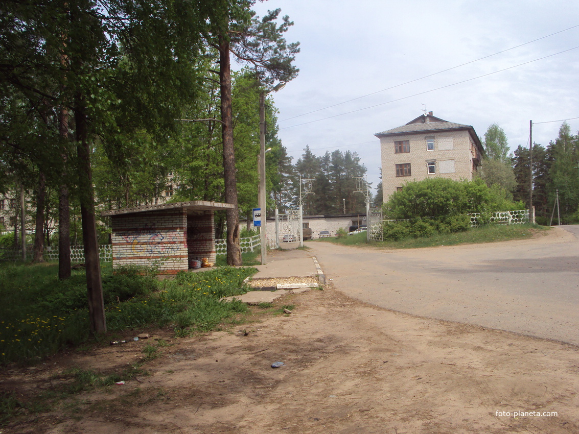 остановка царицино озеро