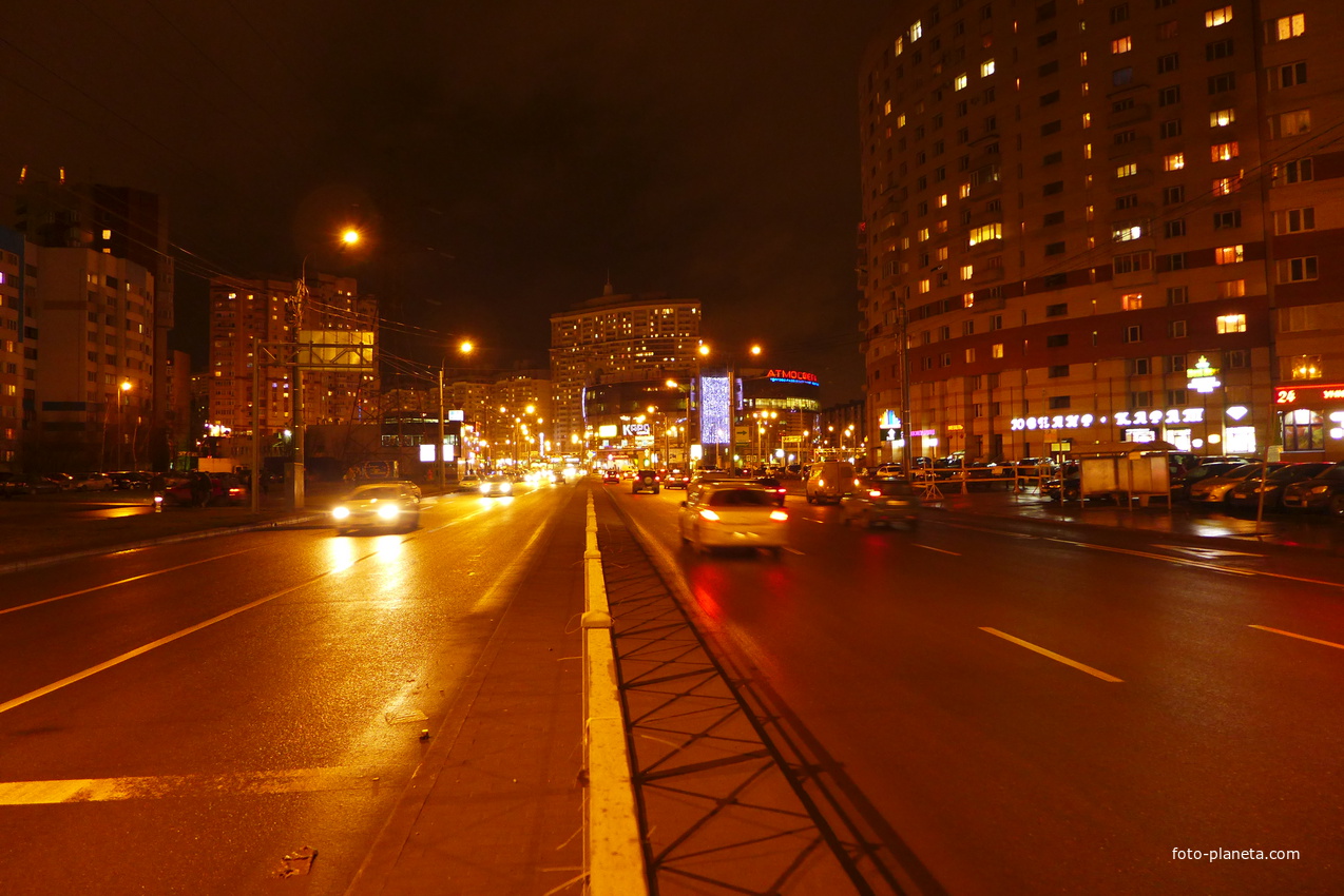 Гаккелевская улица.