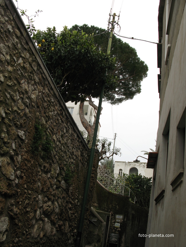 Capri 25/03/2010