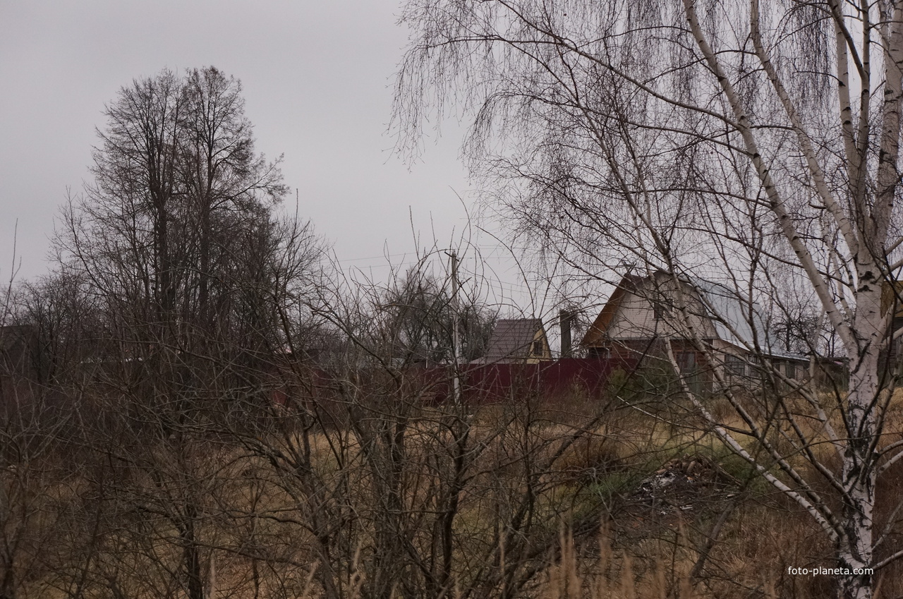 Село Мартыновское
