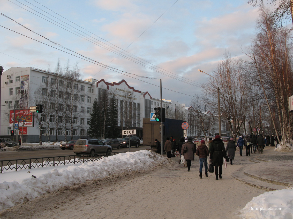 Сыктывкар декабрь 2013 СГУ