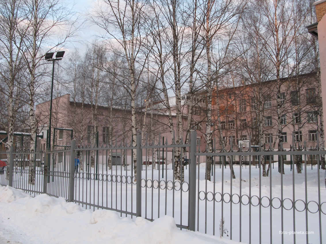 Сыктывкар декабрь 2013 решетка во дворе СГУ