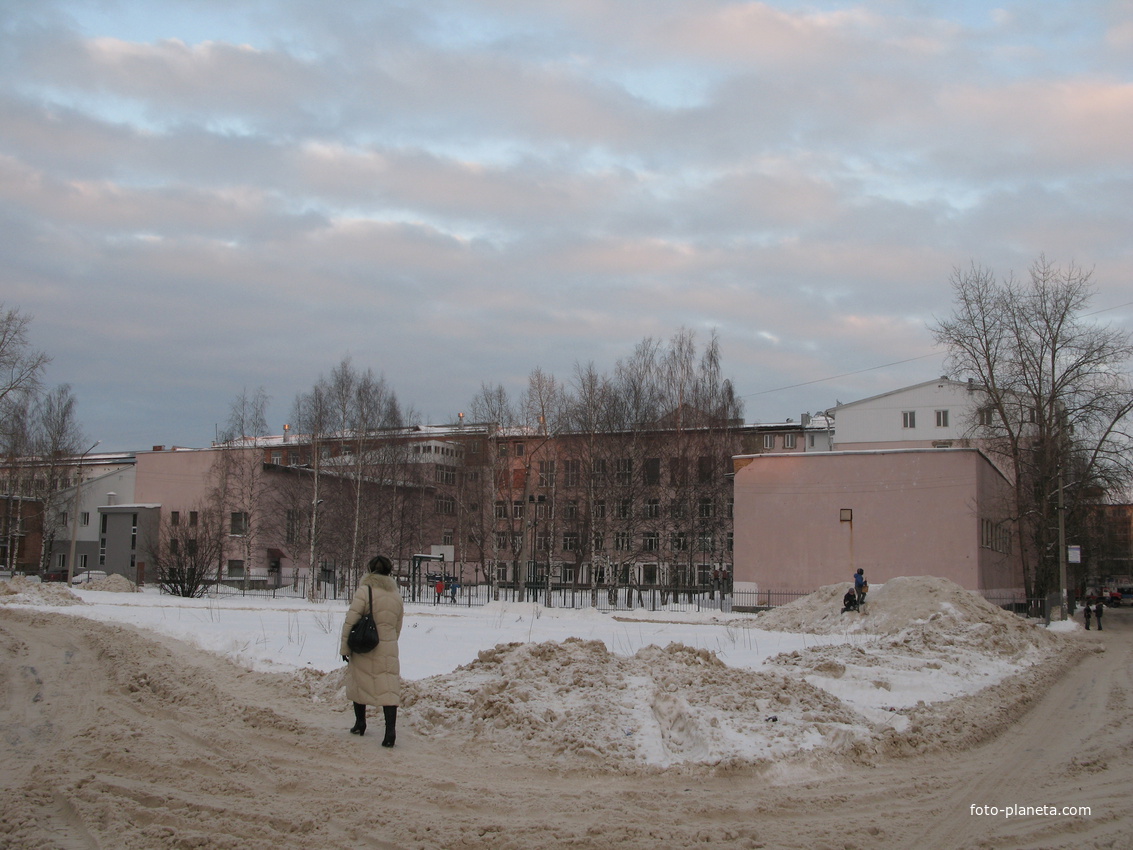 Сыктывкар декабрь 2013 Сыктывкарский государственный университет