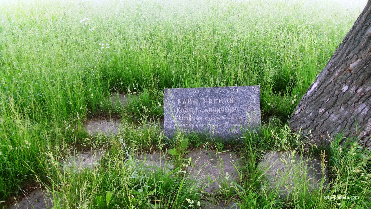 Мельники,могила Вані Рясного і Колі Калініченко розстріляних фашистами .