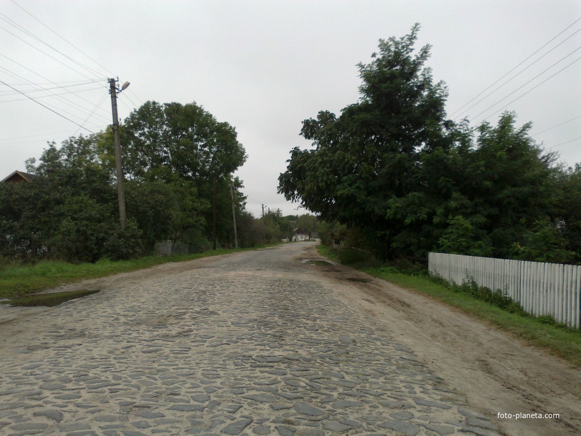 возле Паши Ромашка