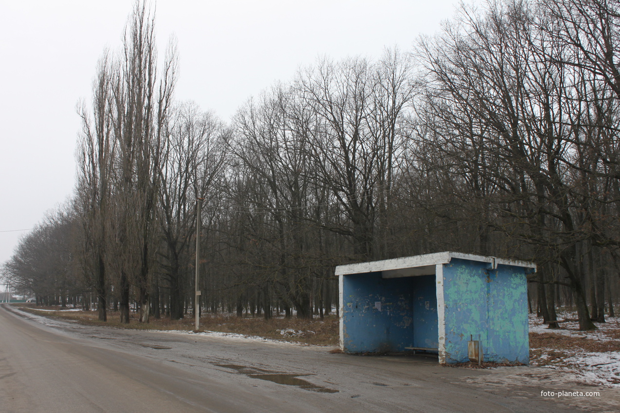 Беловское. Автобусная остановка.
