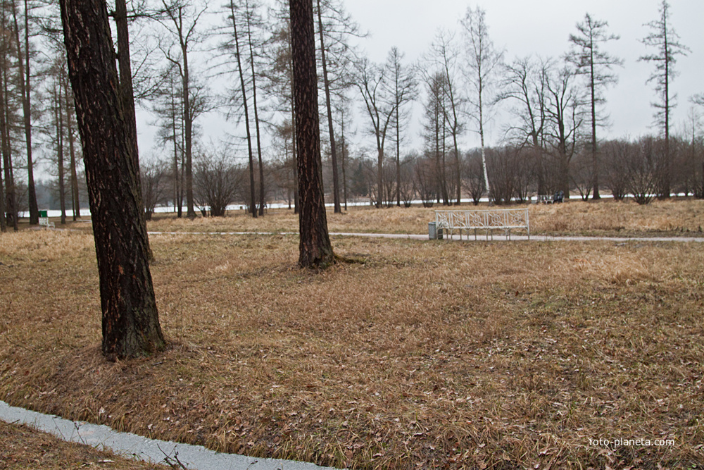 Екатерининский парк