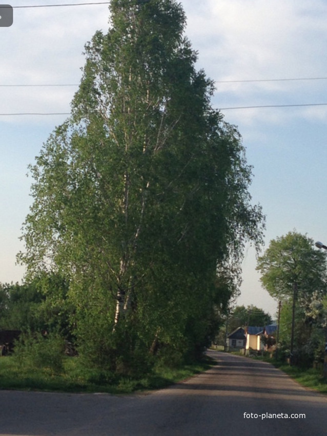 Дорога от магазина к д. Сухополь