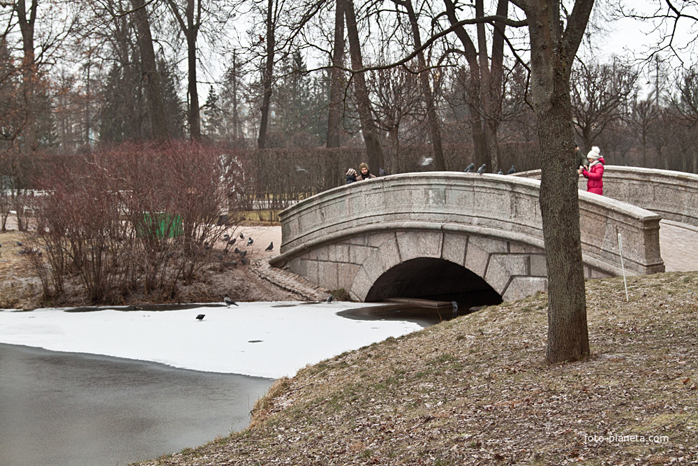 Мост в Екатерининском парке