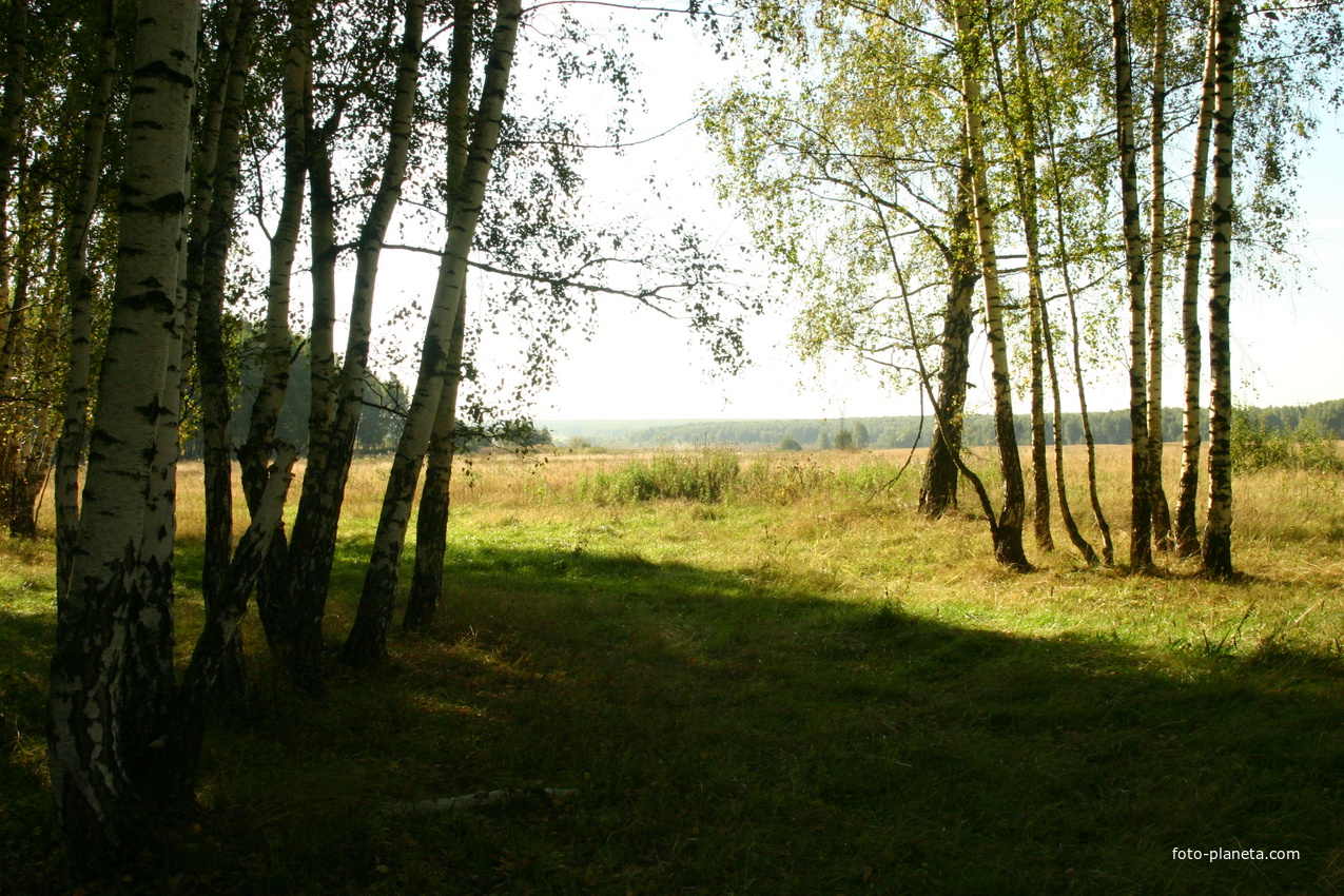 Карповский лес