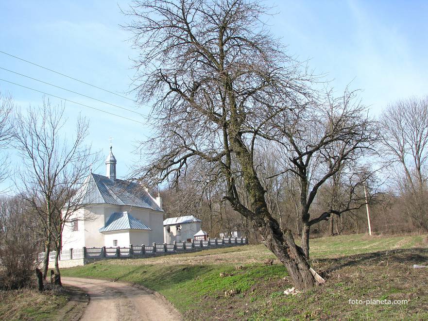 Стара грушка перед церквою