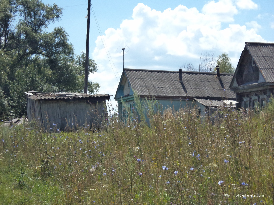 село Козловка Инсарского района