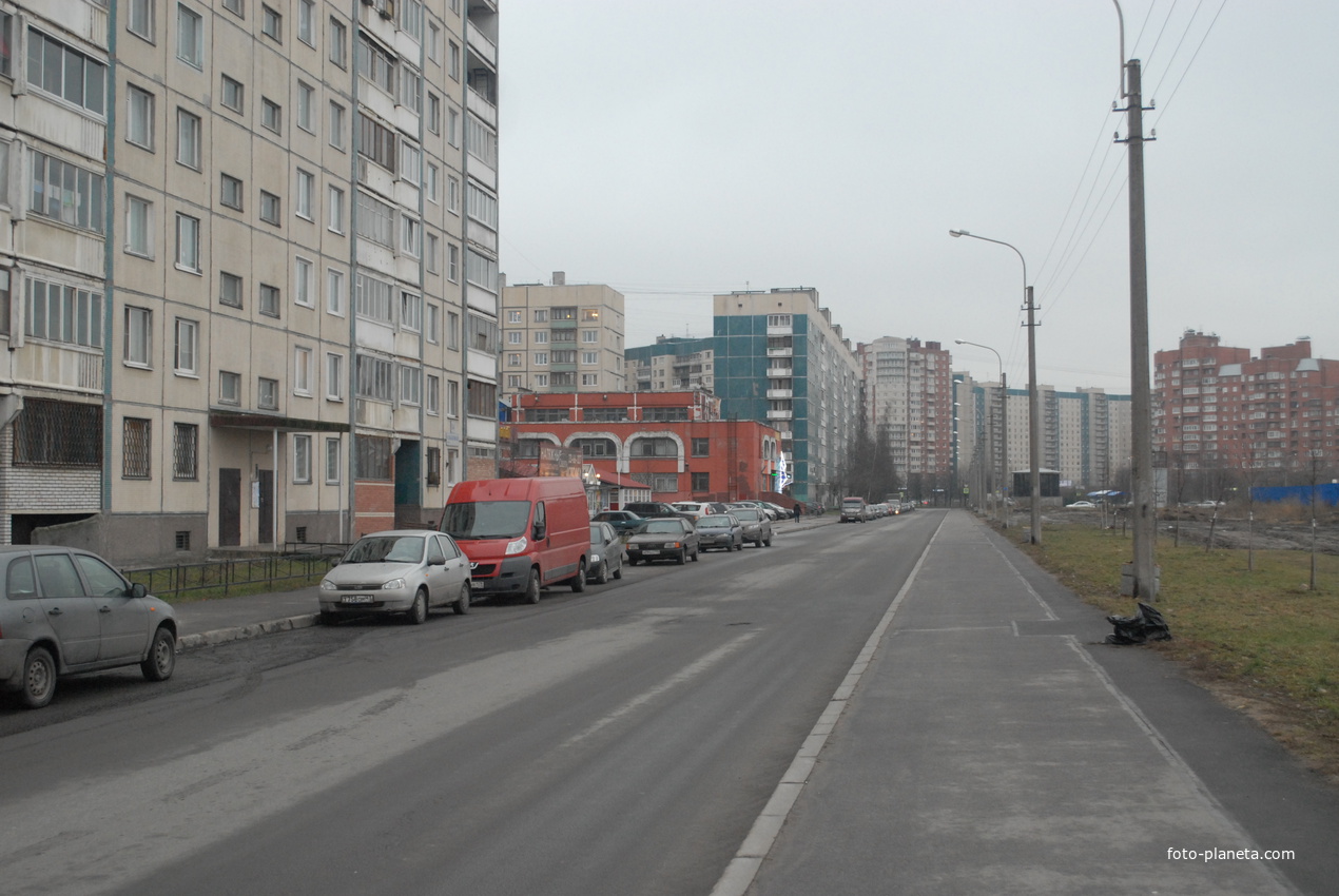Улица Ольховая.