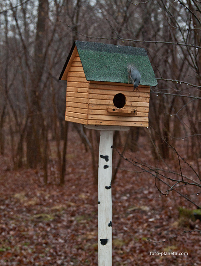 Александровский парк