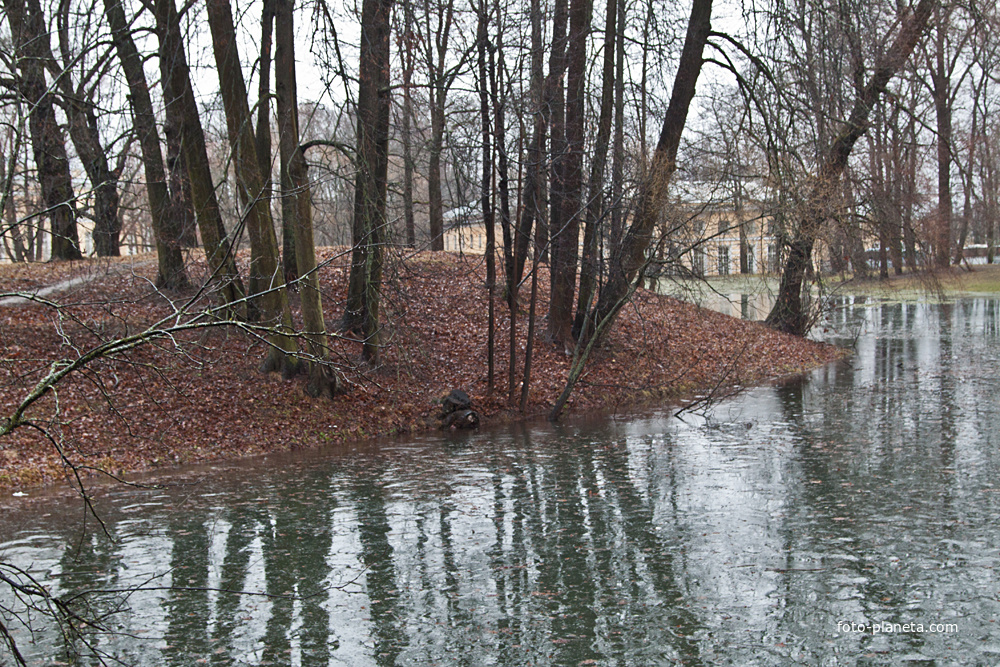 Кухонный пруд