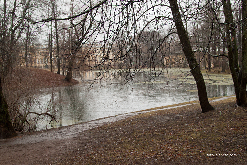 Кухонный пруд