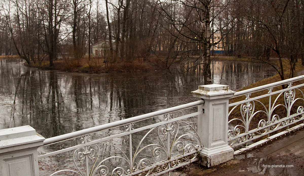 Вид на Детский пруд