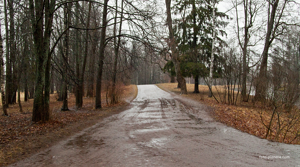 Дорожка в Александровском парке