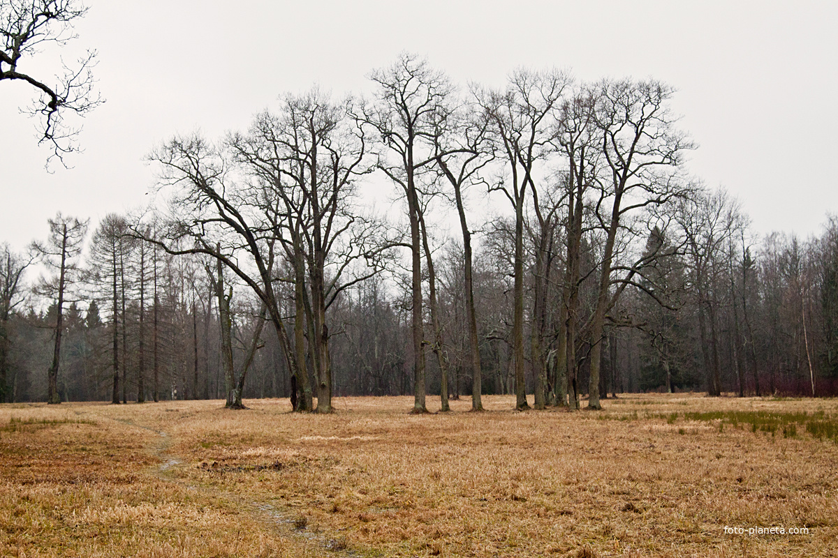 Александровский парк