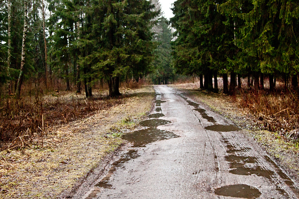 Александровский парк