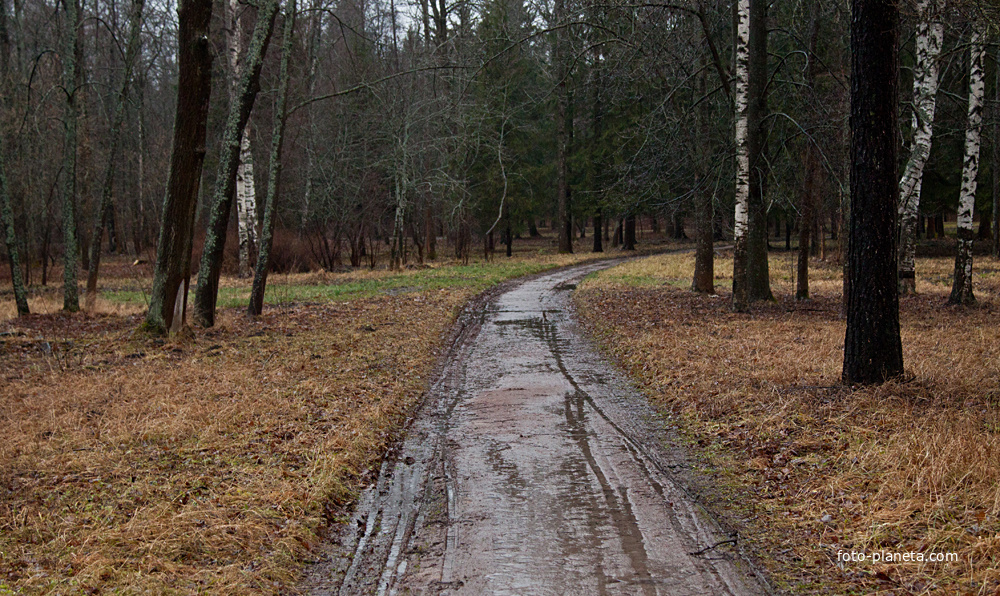 Александровский парк
